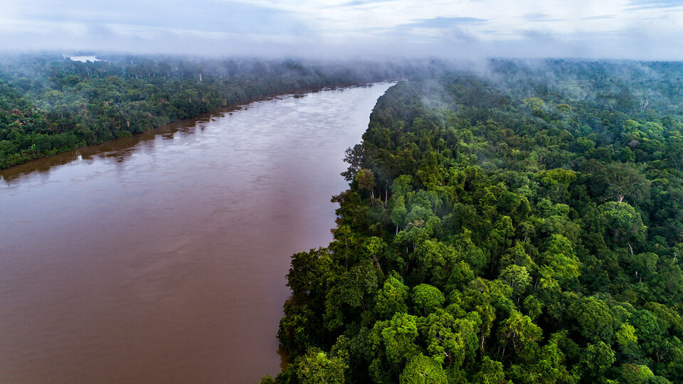 Katingan REDD+ Forest